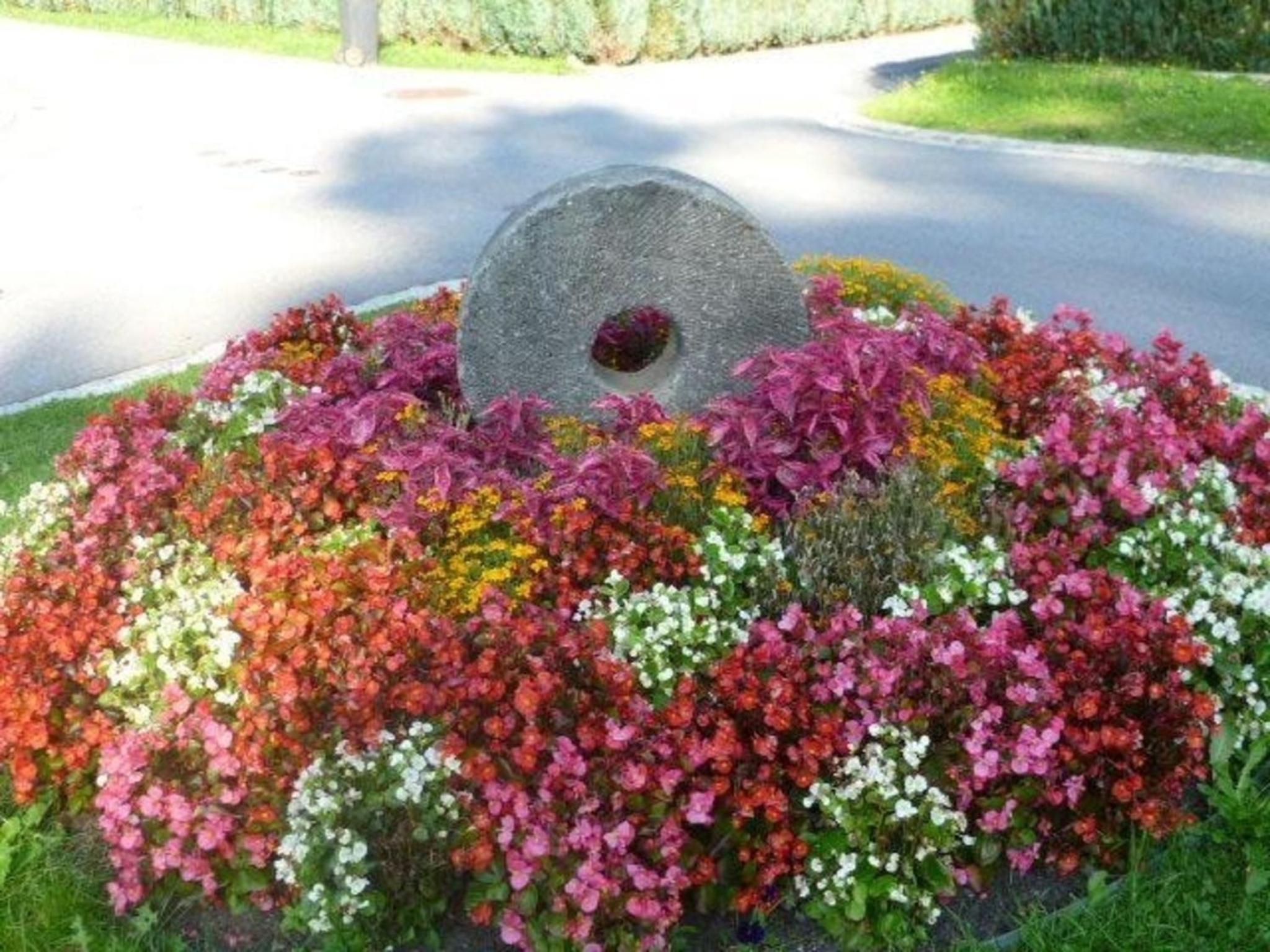 Appartement in Kurort Jonsdorf mit Terrasse, Grill und Garten