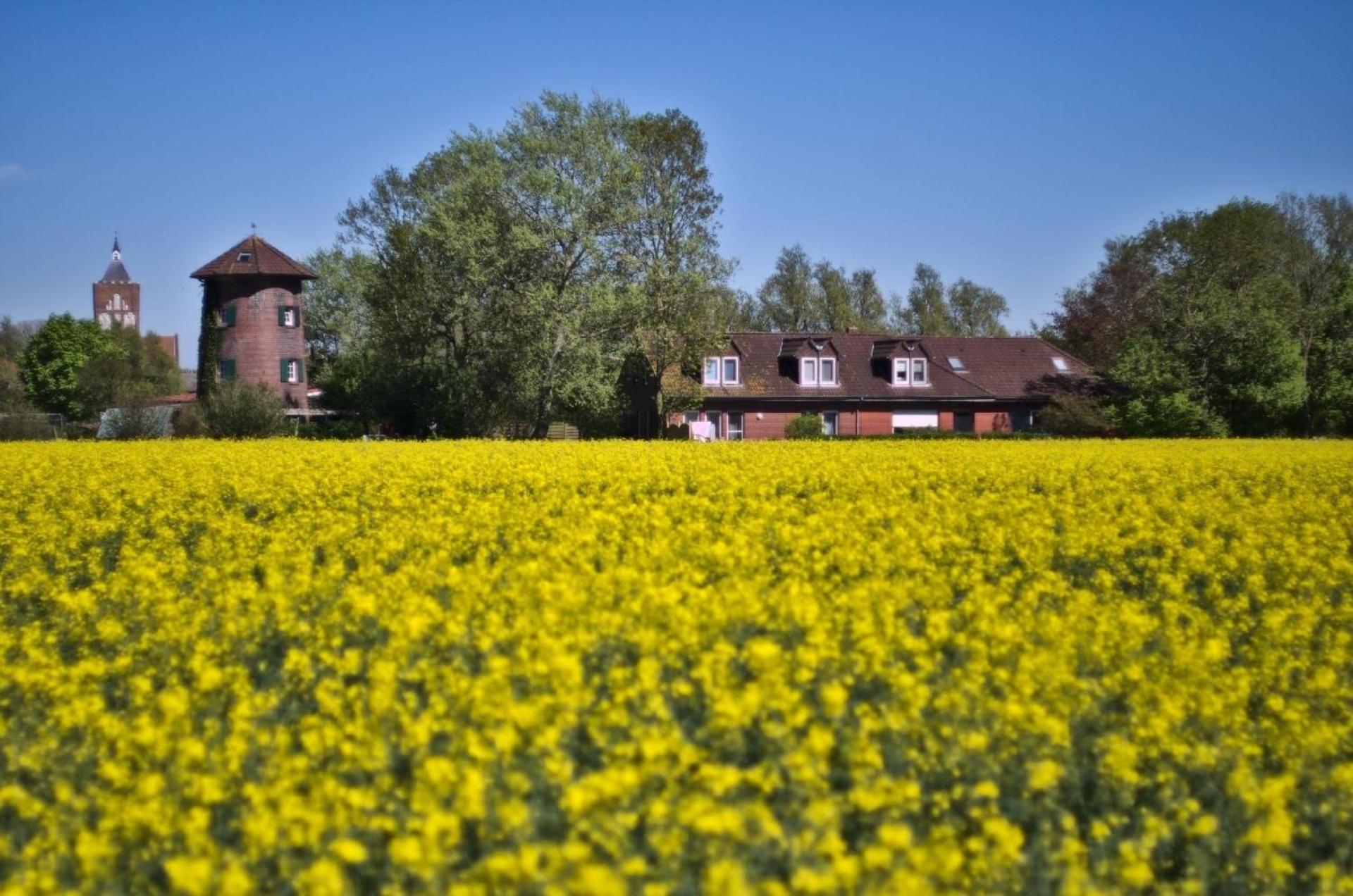 Ferienhaus in Pilsum mit Großem Garten