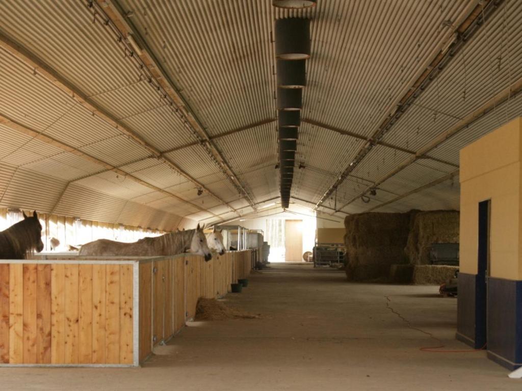 Oase Friedensthal