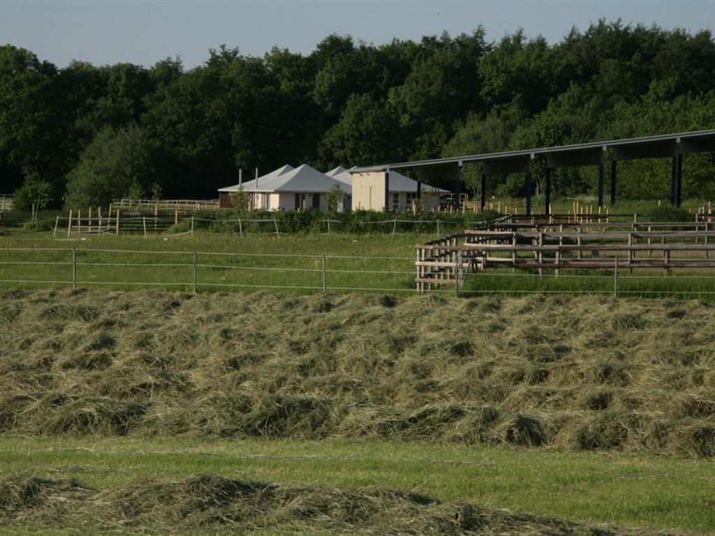 Oase Friedensthal