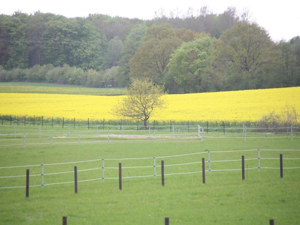 Oase Friedensthal