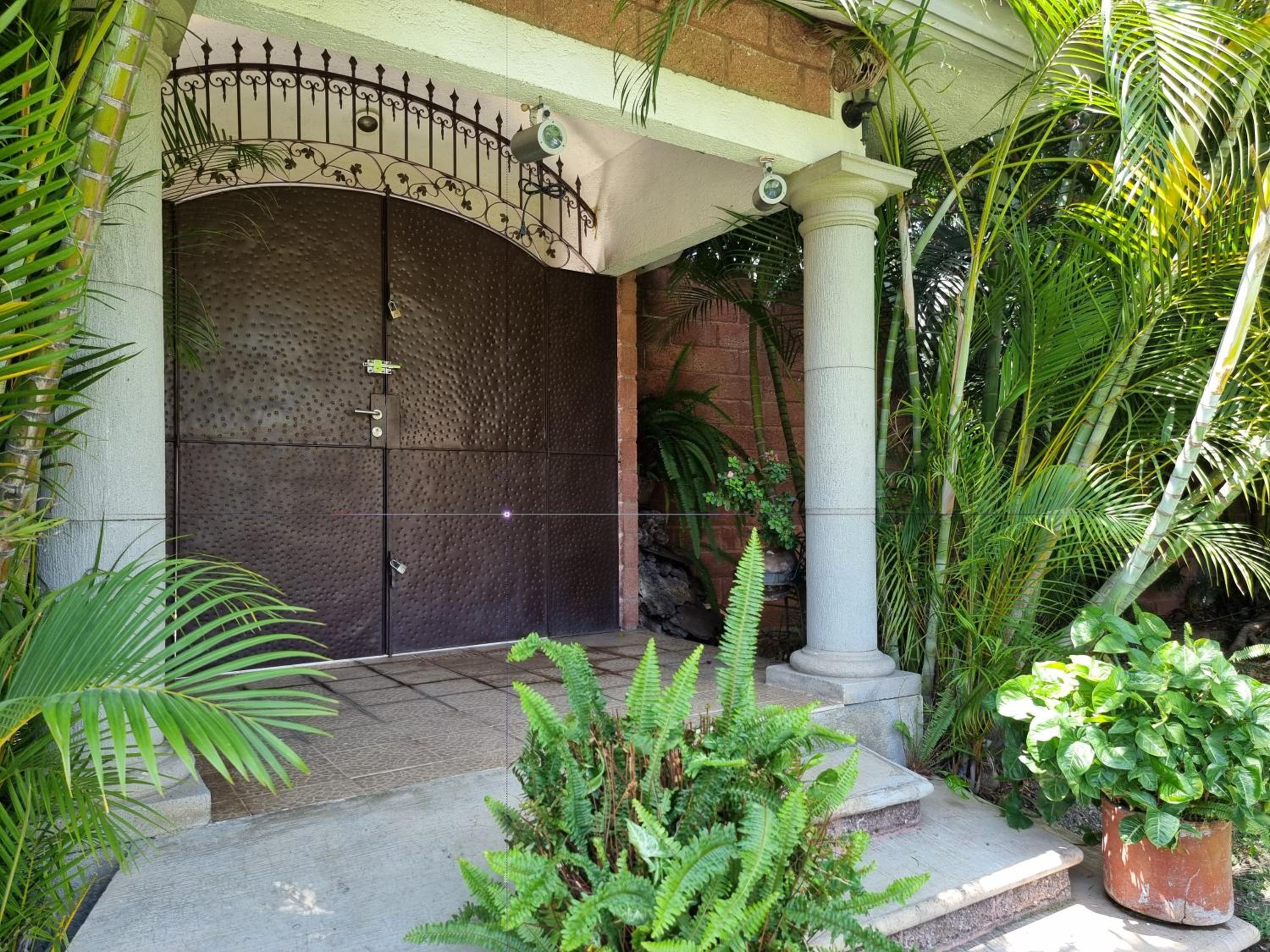 Photo 11