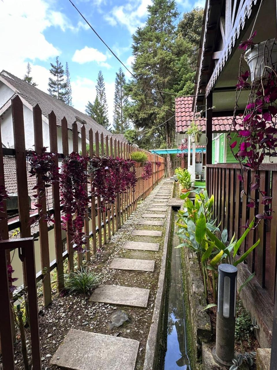Hillside cottage chalet studio