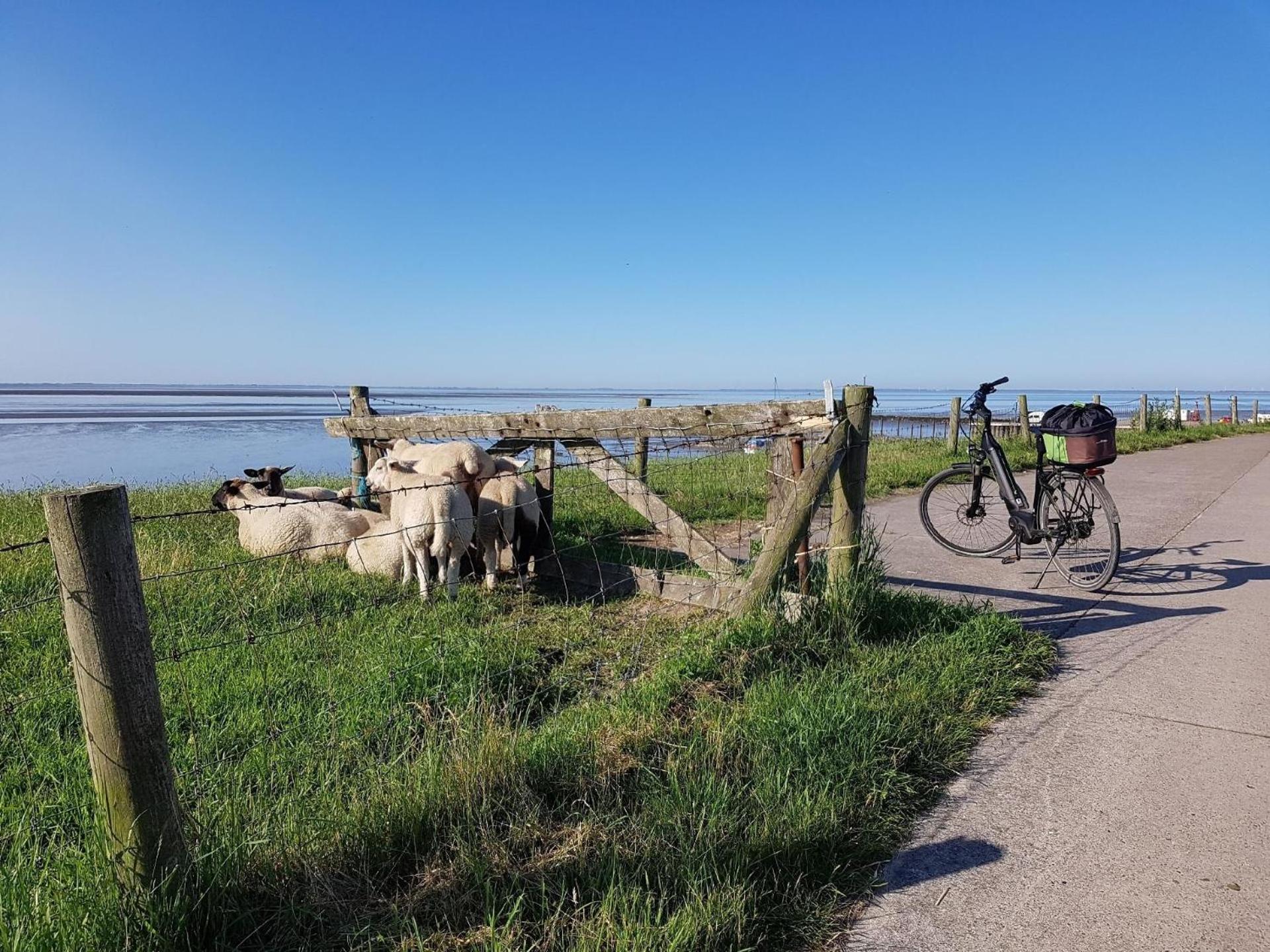 Ferienhaus mit Garten und Fahrradschuppen