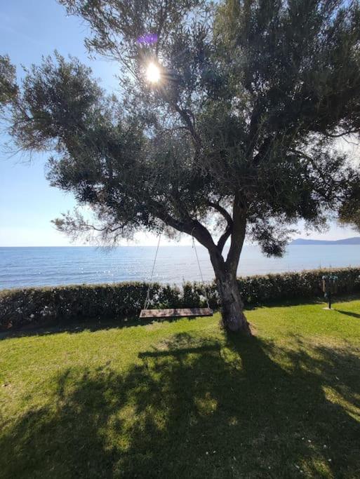 Beachfront Charming Maisonette