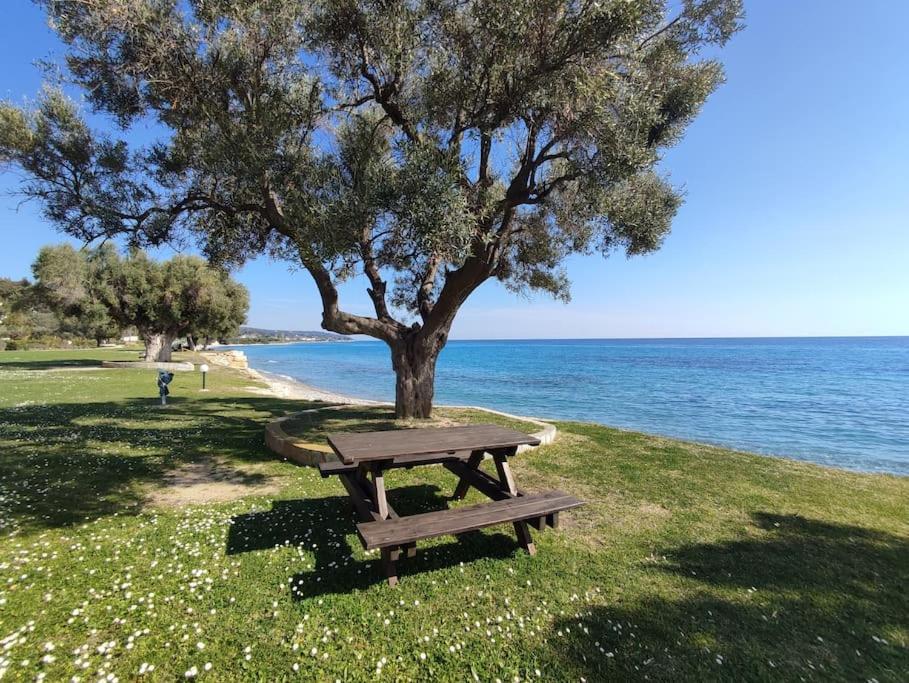 Beachfront Charming Maisonette