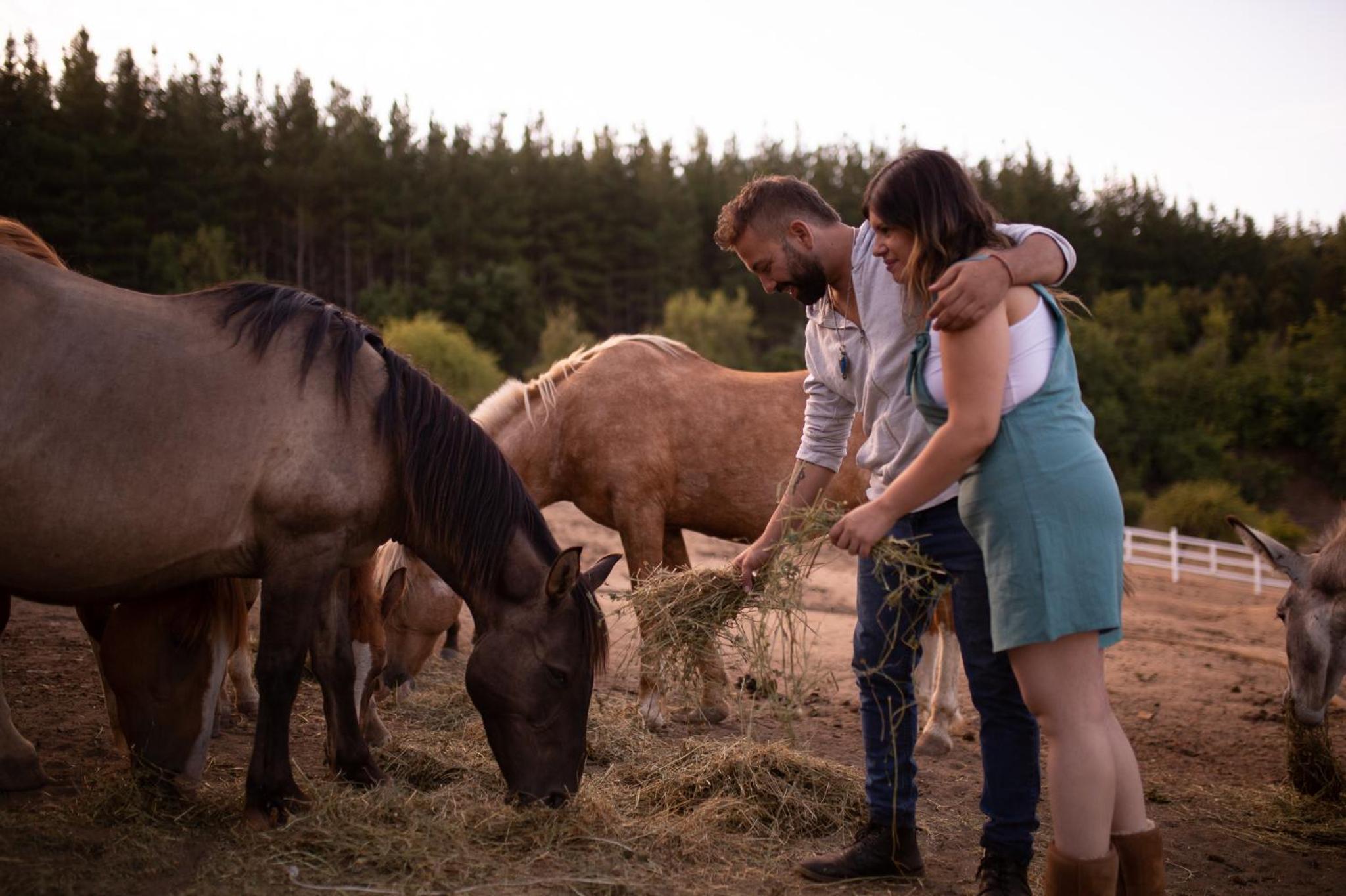 Glamping, escapada en la naturaleza