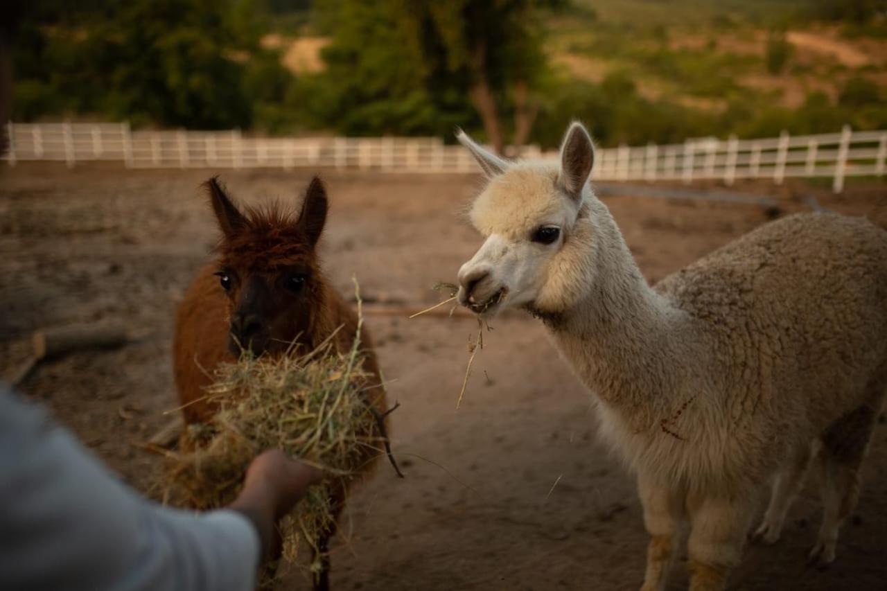 Glamping, escapada en la naturaleza