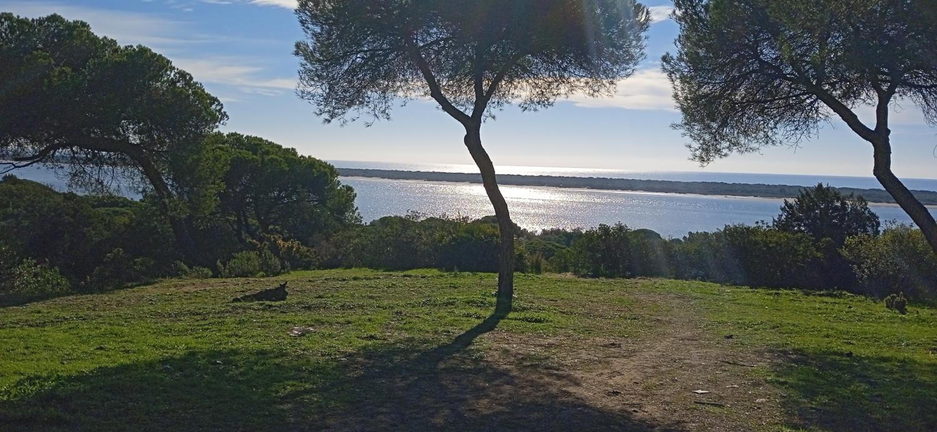 Apartamento Pleamar