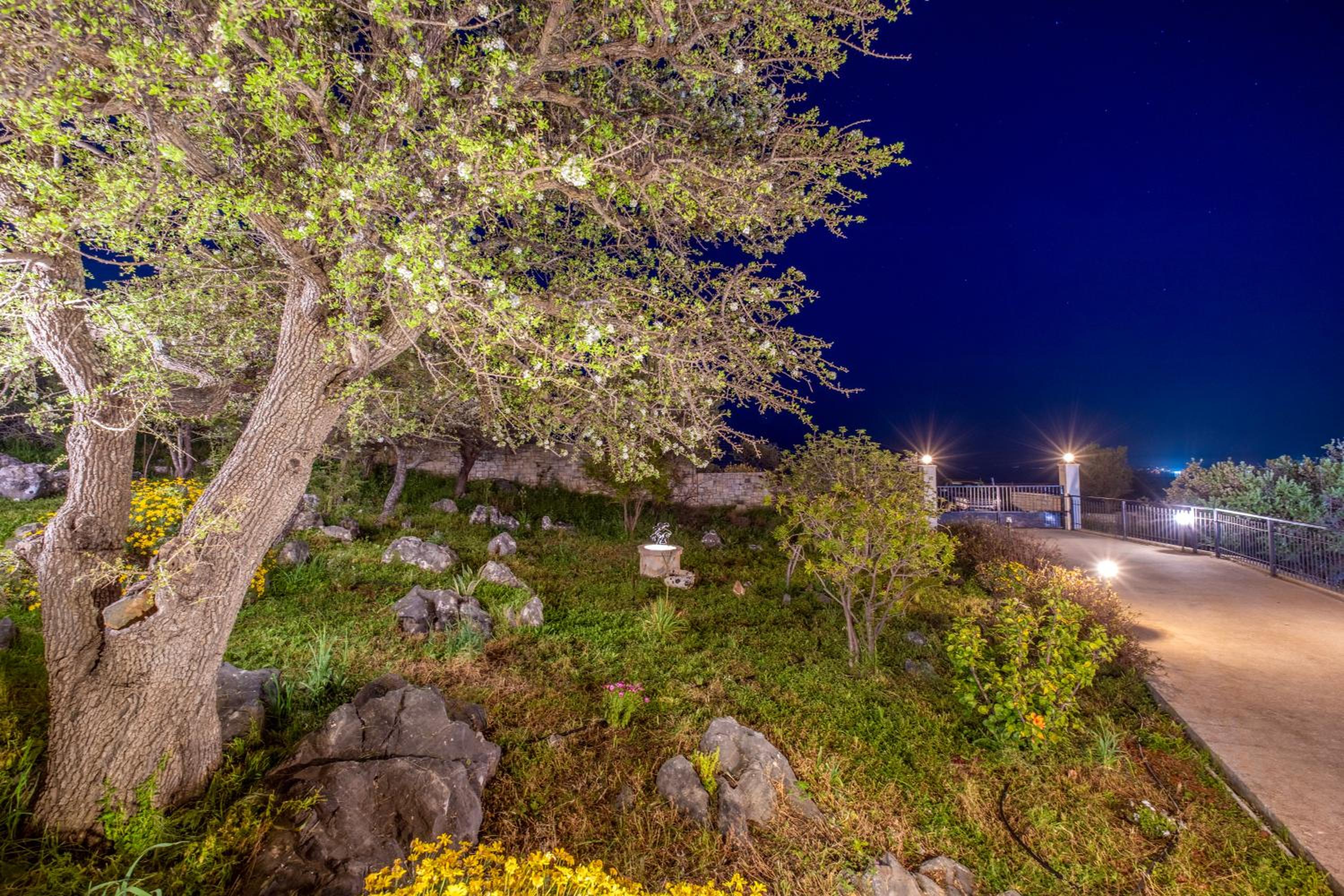 Photo 92