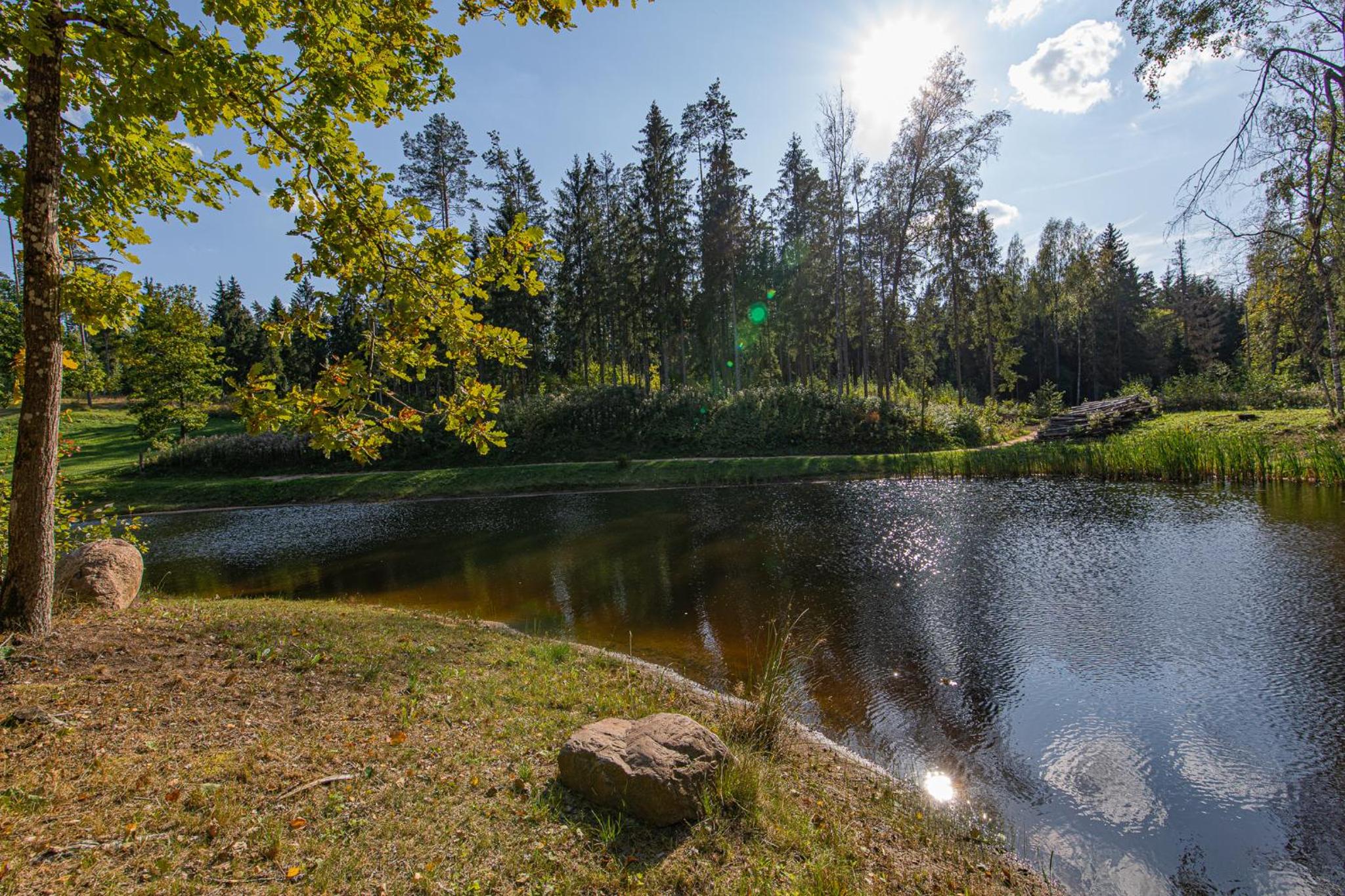 Elupuu forest cabin with sauna
