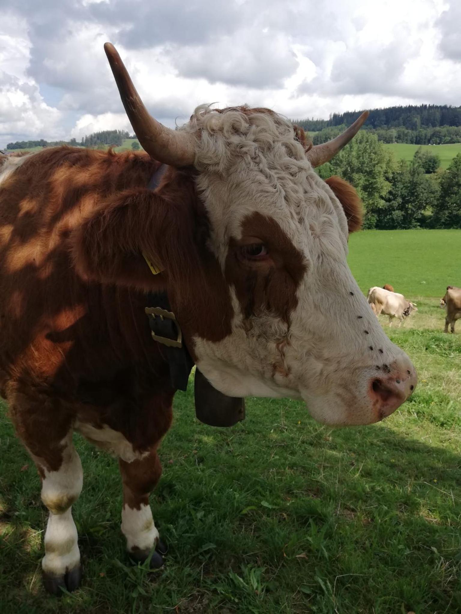 other