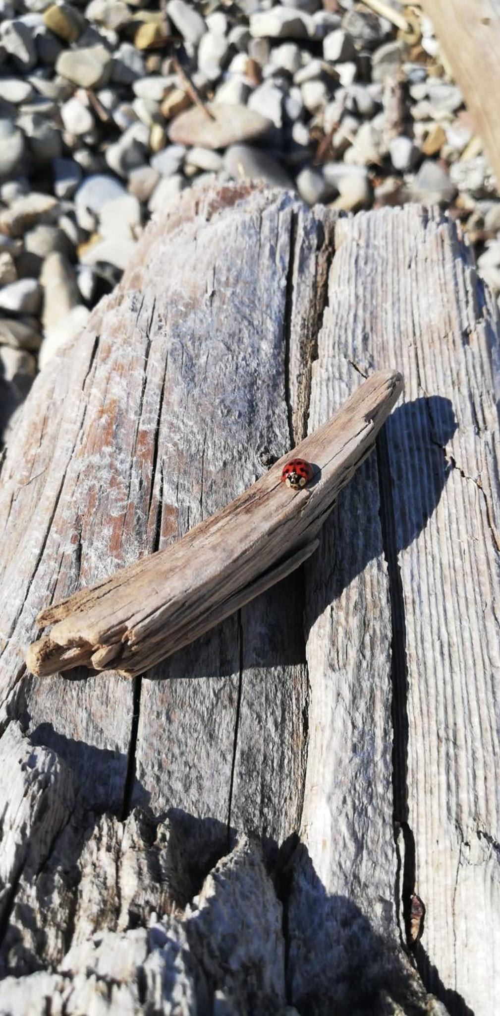 other