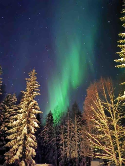 Mökki luonnon keskellä.