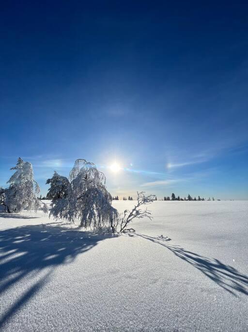 Mökki luonnon keskellä.