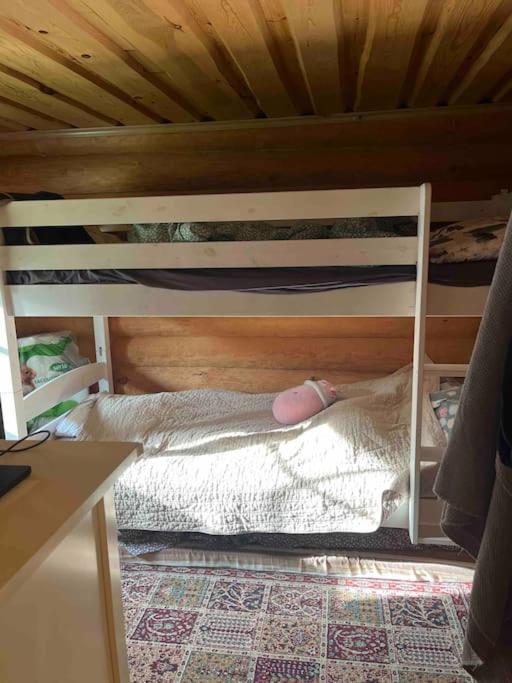 Mökki luonnon keskellä.