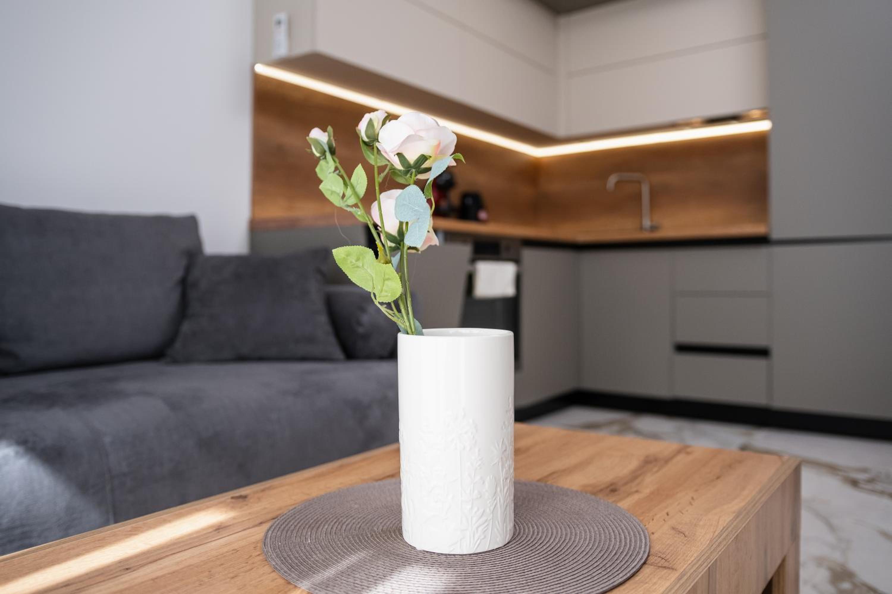 Modern 1-Bedroom Apartments