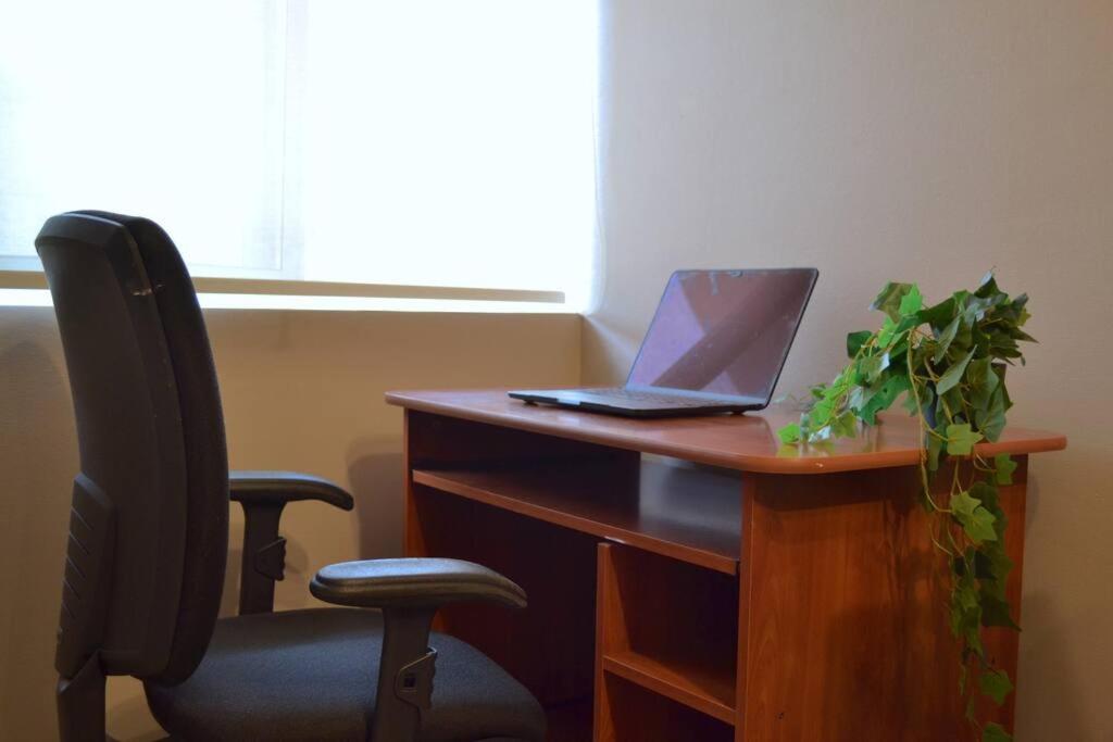 Hermoso y acogedor apartamento en Santiago