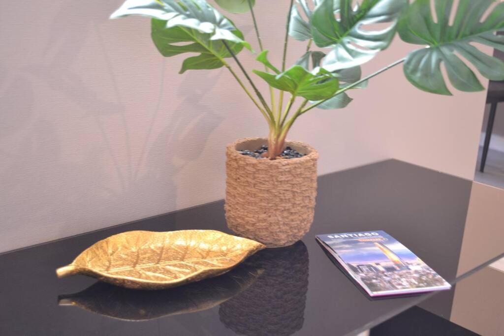 Hermoso y acogedor apartamento en Santiago