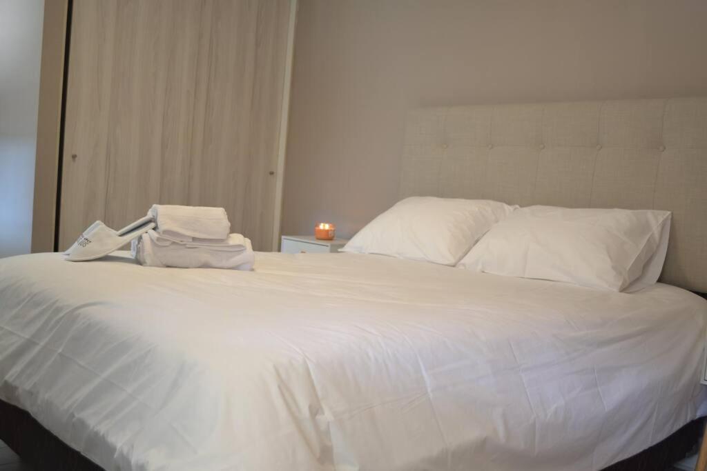 Hermoso y acogedor apartamento en Santiago