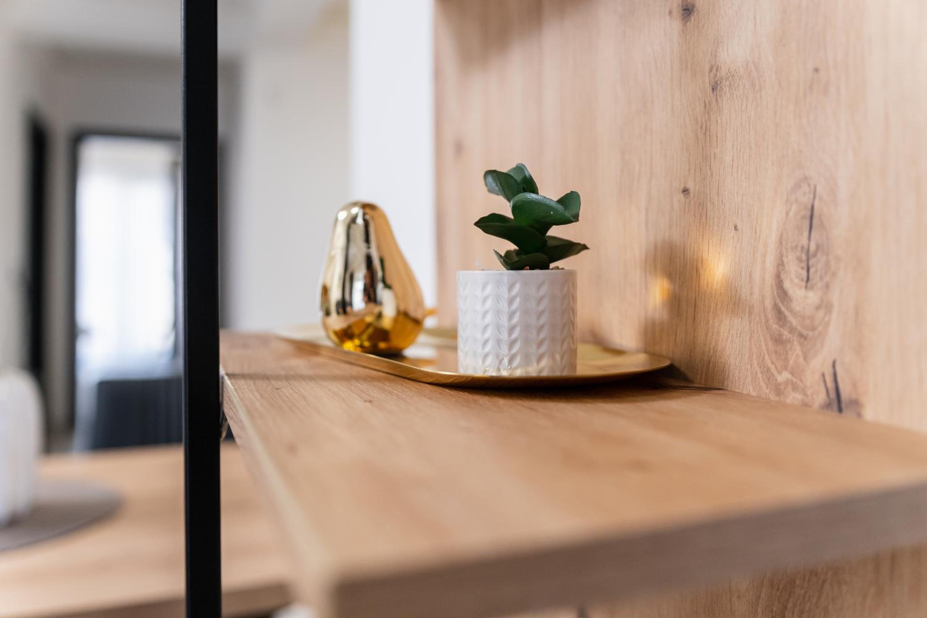 Modern 1-Bedroom Apartments