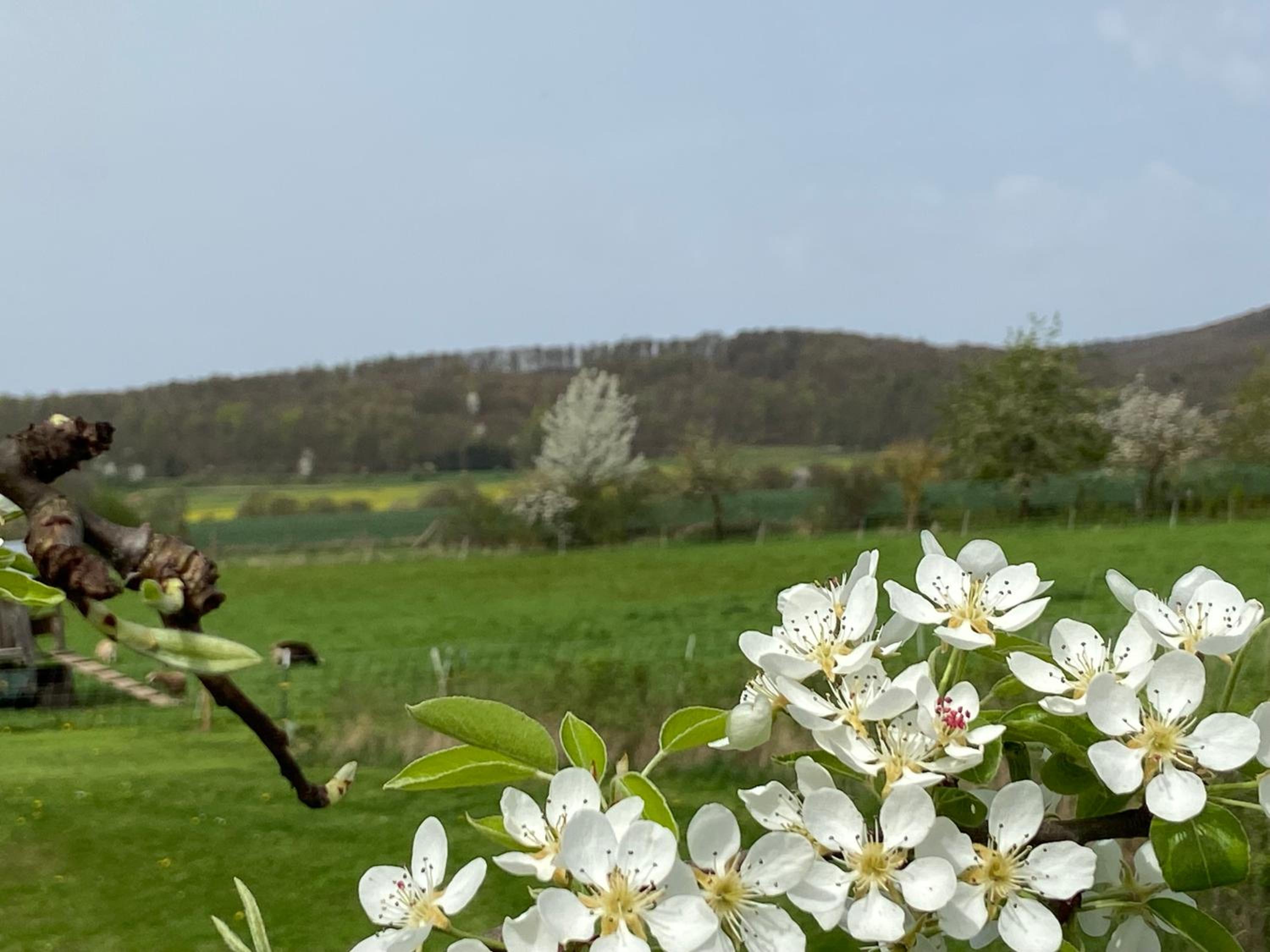 Moserhof