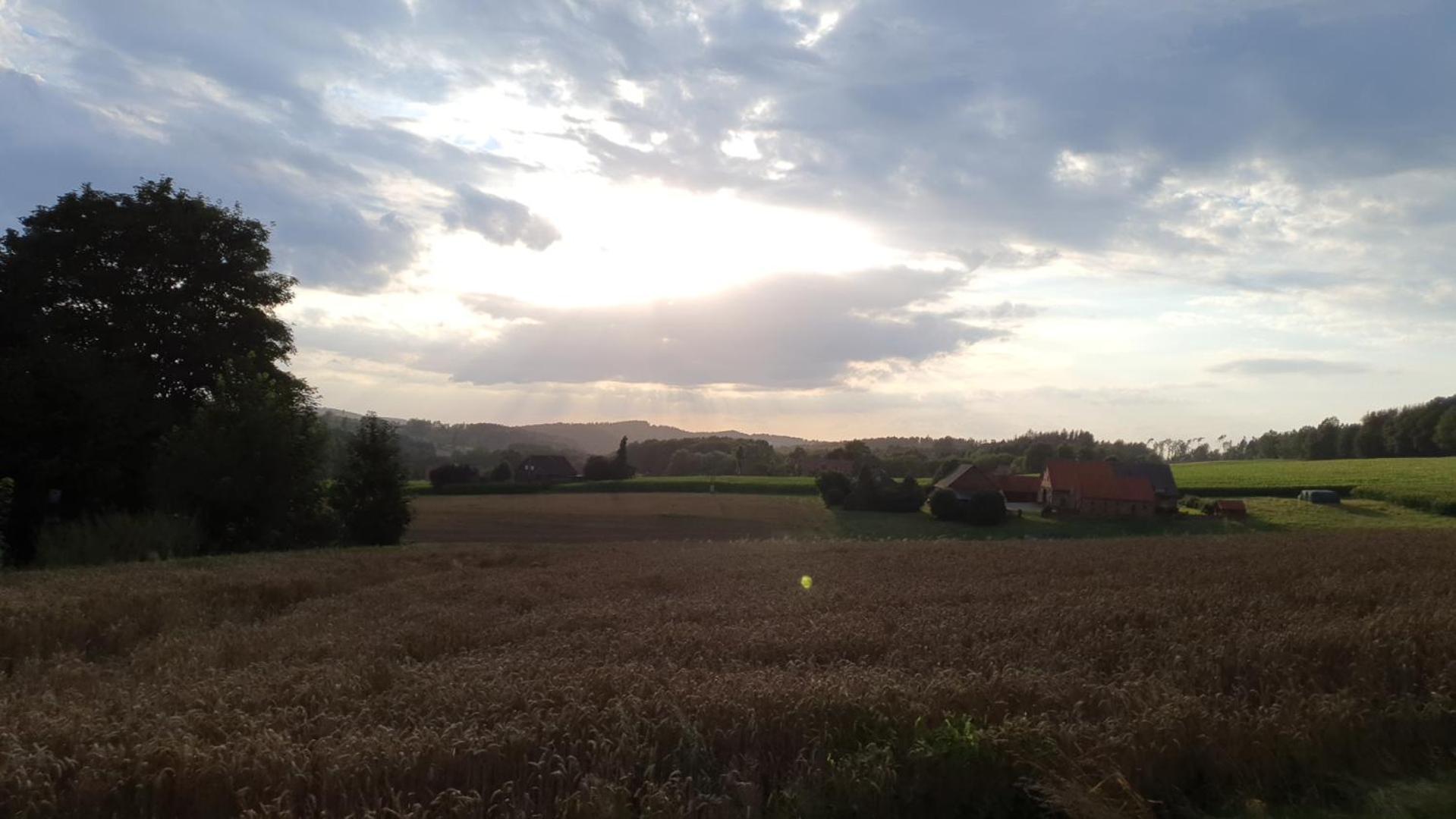 FeWo Harling - Waldoase - Handwerker auf Anfrage - Property Image 3