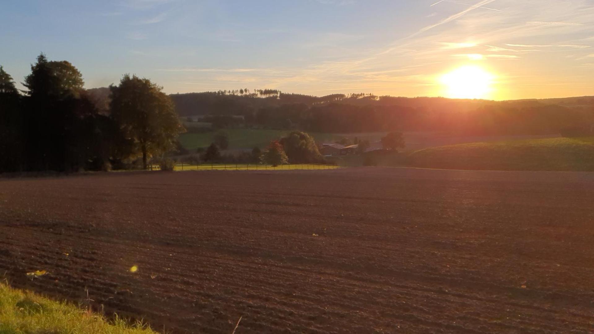 FeWo Harling - Waldoase - Handwerker auf Anfrage - Property Image 35