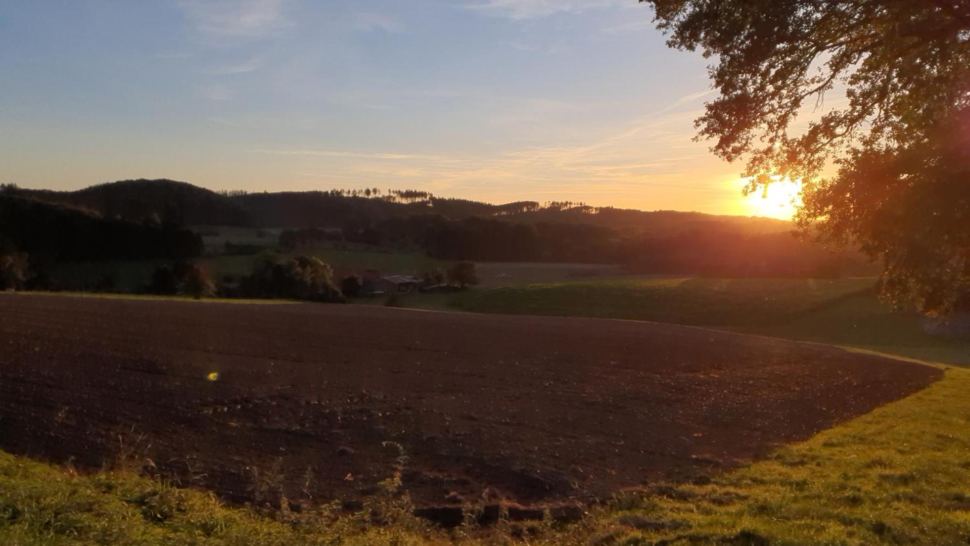 FeWo Harling - Waldoase - Handwerker auf Anfrage - Property Image 38