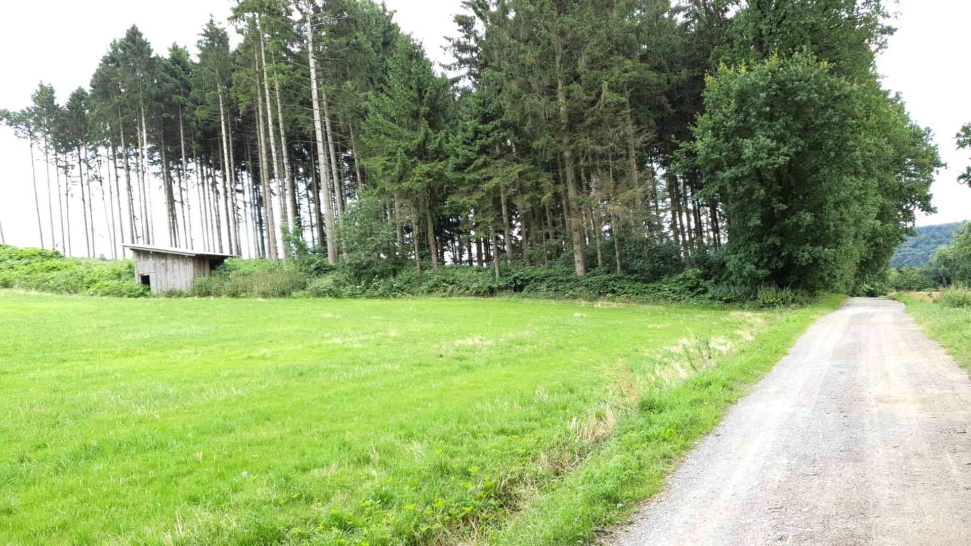 FeWo Harling - Waldoase - Handwerker auf Anfrage - Property Image 6