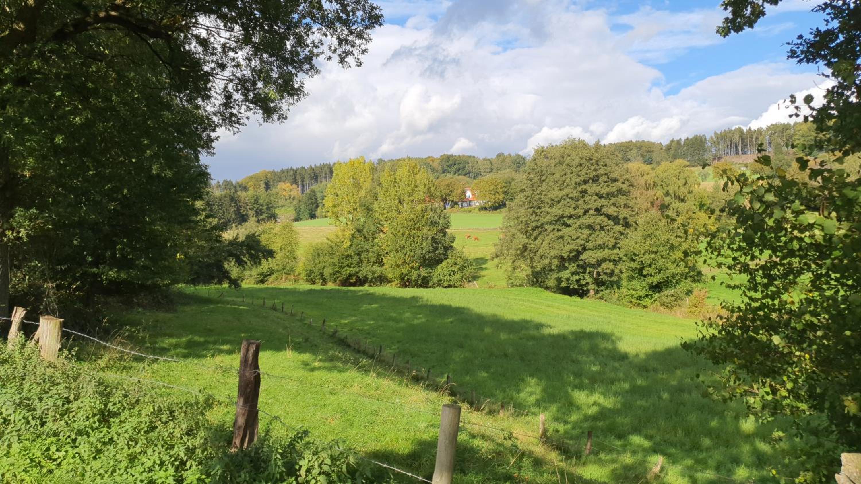 FeWo Harling - Waldoase - Handwerker auf Anfrage - Property Image 12