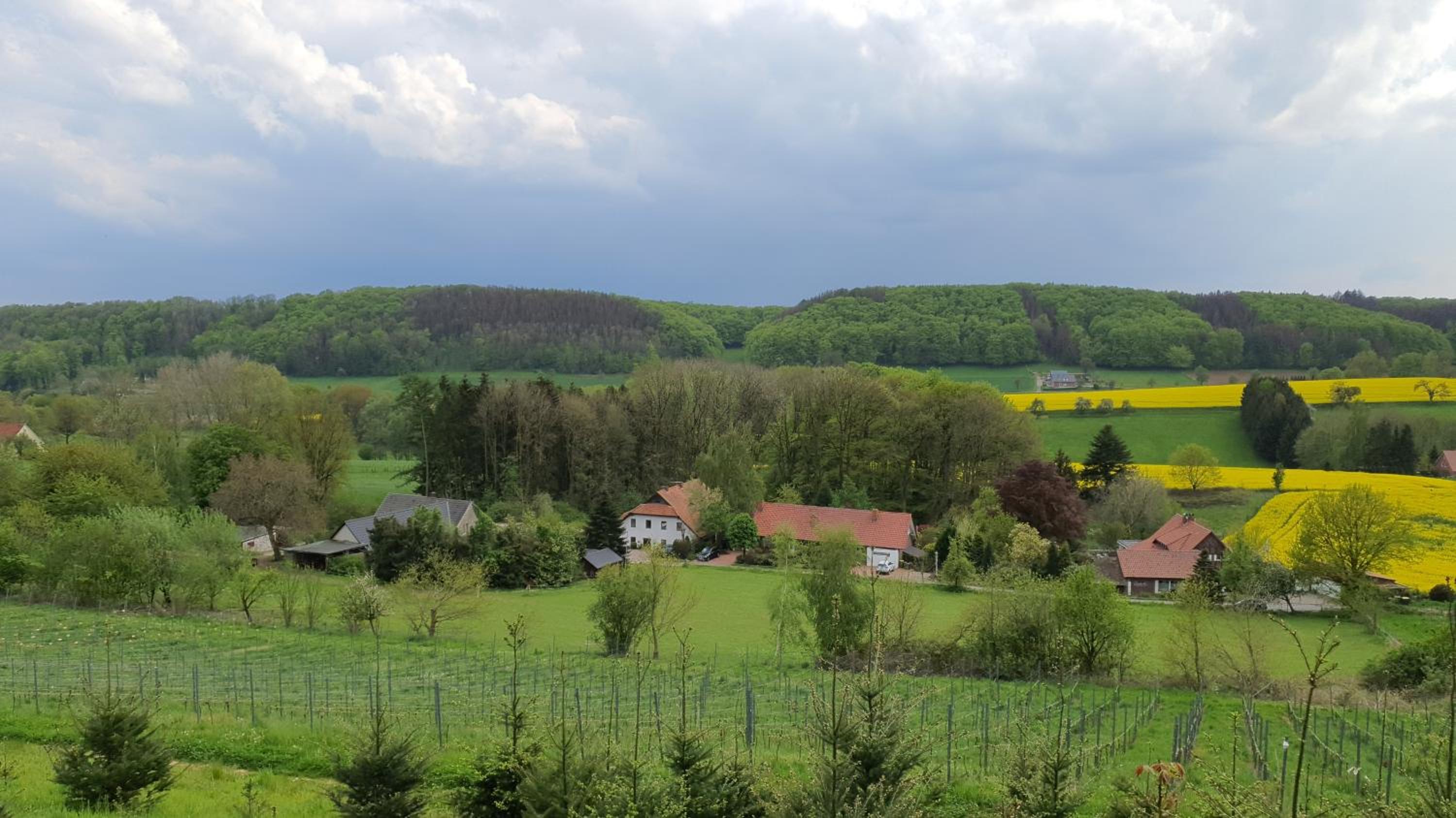 FeWo Harling - Waldoase - Handwerker auf Anfrage - Property Image 1
