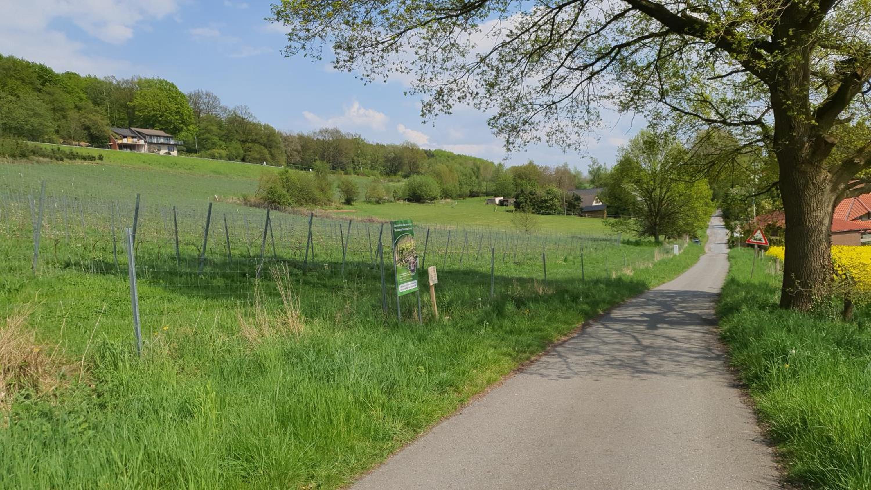 FeWo Harling - Waldoase - Handwerker auf Anfrage - Property Image 15