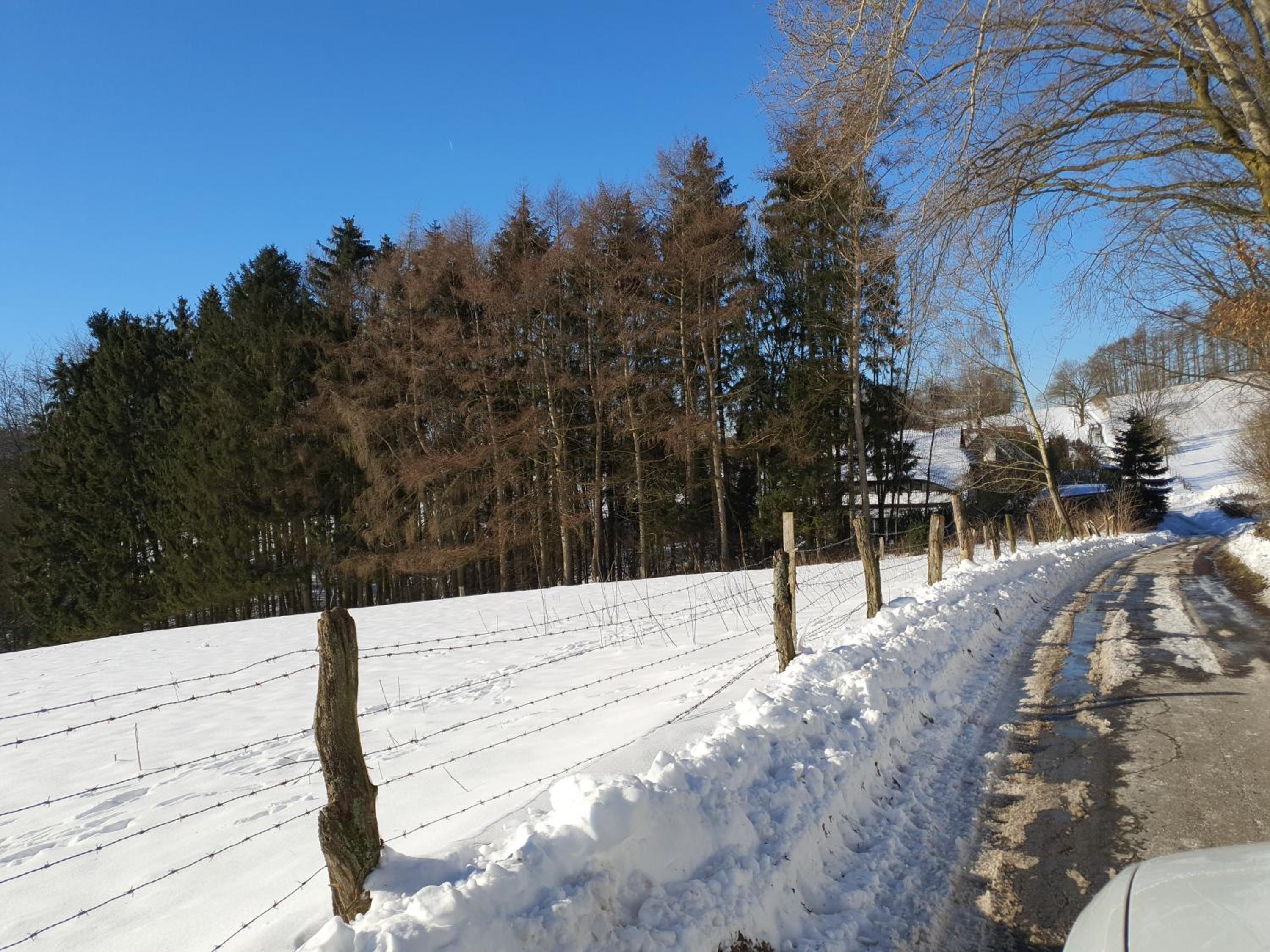 FeWo Harling - Waldoase - Handwerker auf Anfrage - Property Image 14