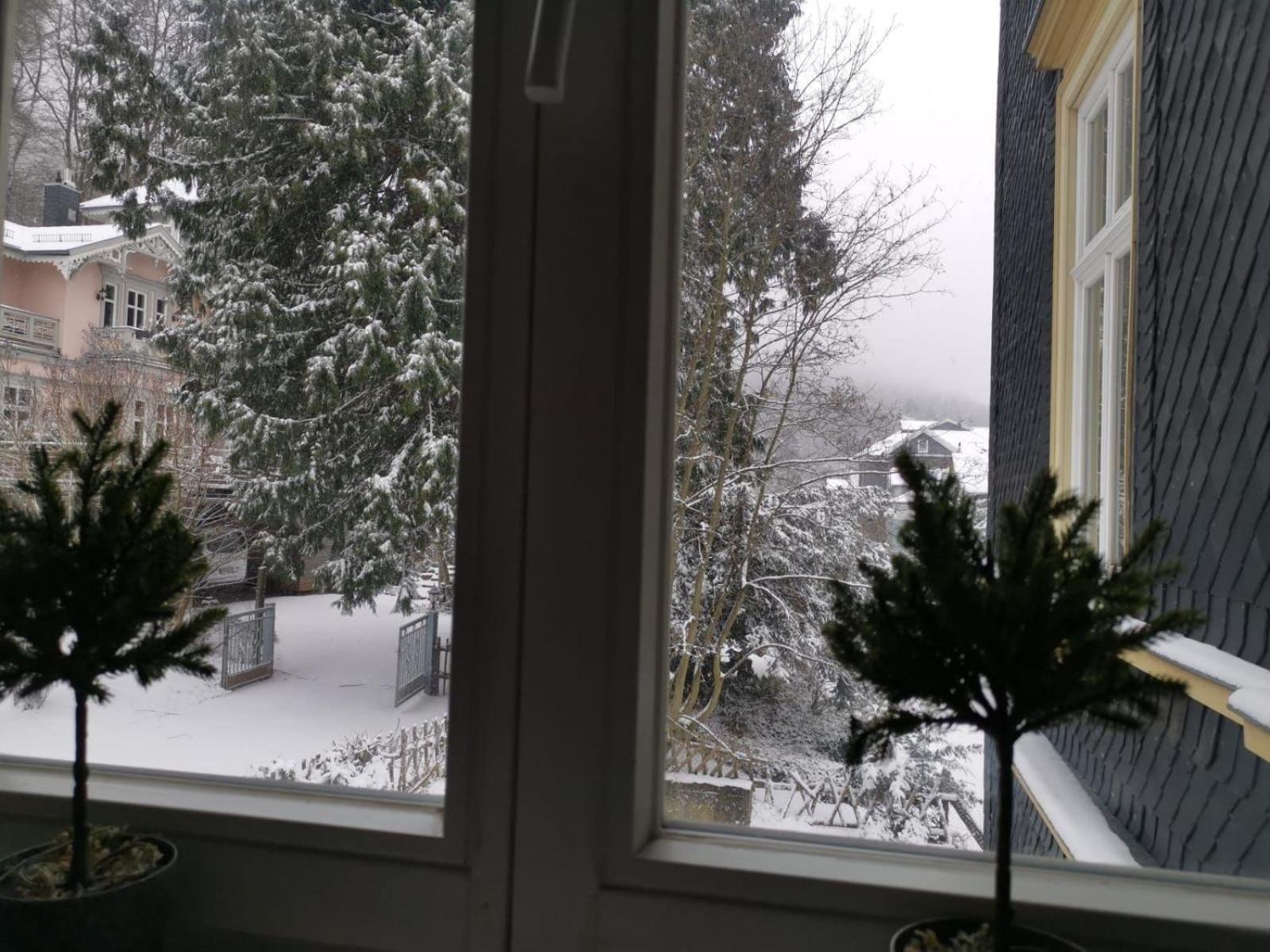 Villa Am Kurpark