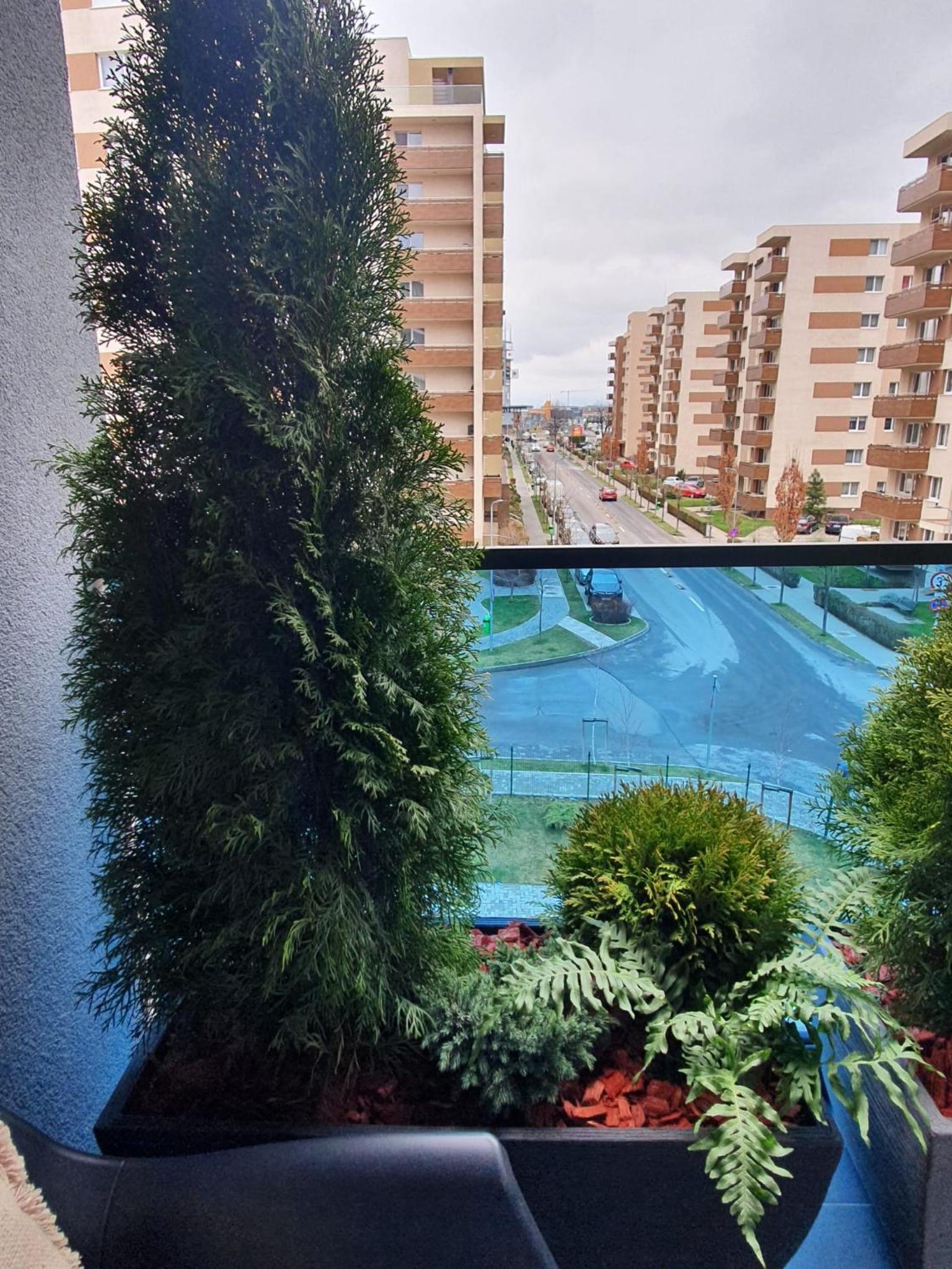 Tzuba Luxury Home Coresi Mall Brasov view 5