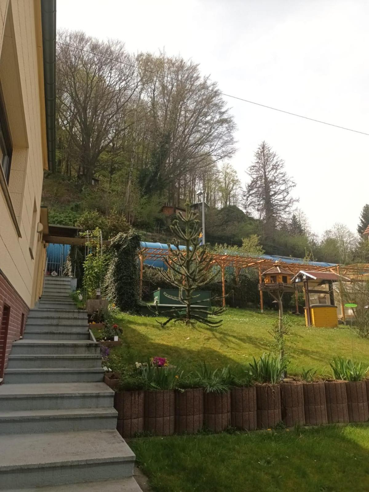 Ferienhaus am Elberadweg mit Sauna & Kamin - Natur, Erholung & S-Bahn-Anbindung - Saxon Oase