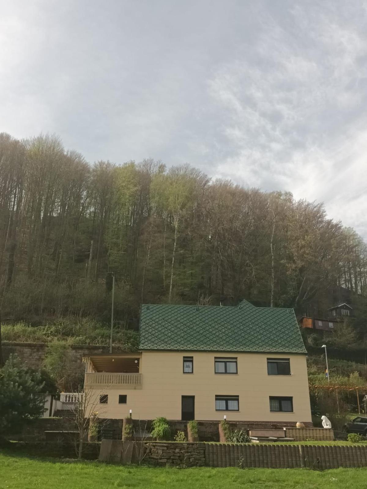 Ferienhaus am Elberadweg mit Sauna & Kamin - Natur, Erholung & S-Bahn-Anbindung - Saxon Oase
