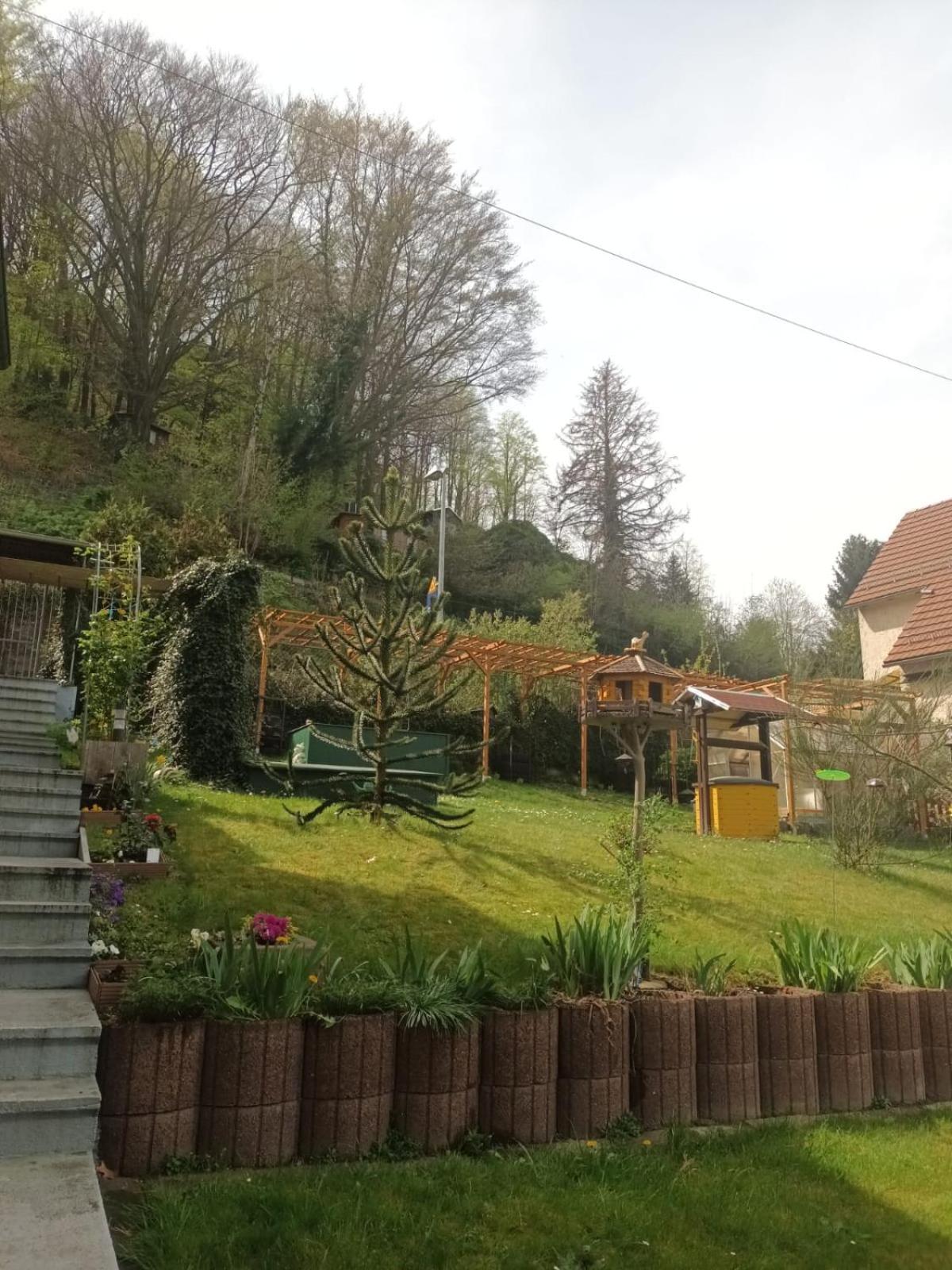 Ferienhaus am Elberadweg mit Sauna & Kamin - Natur, Erholung & S-Bahn-Anbindung - Saxon Oase