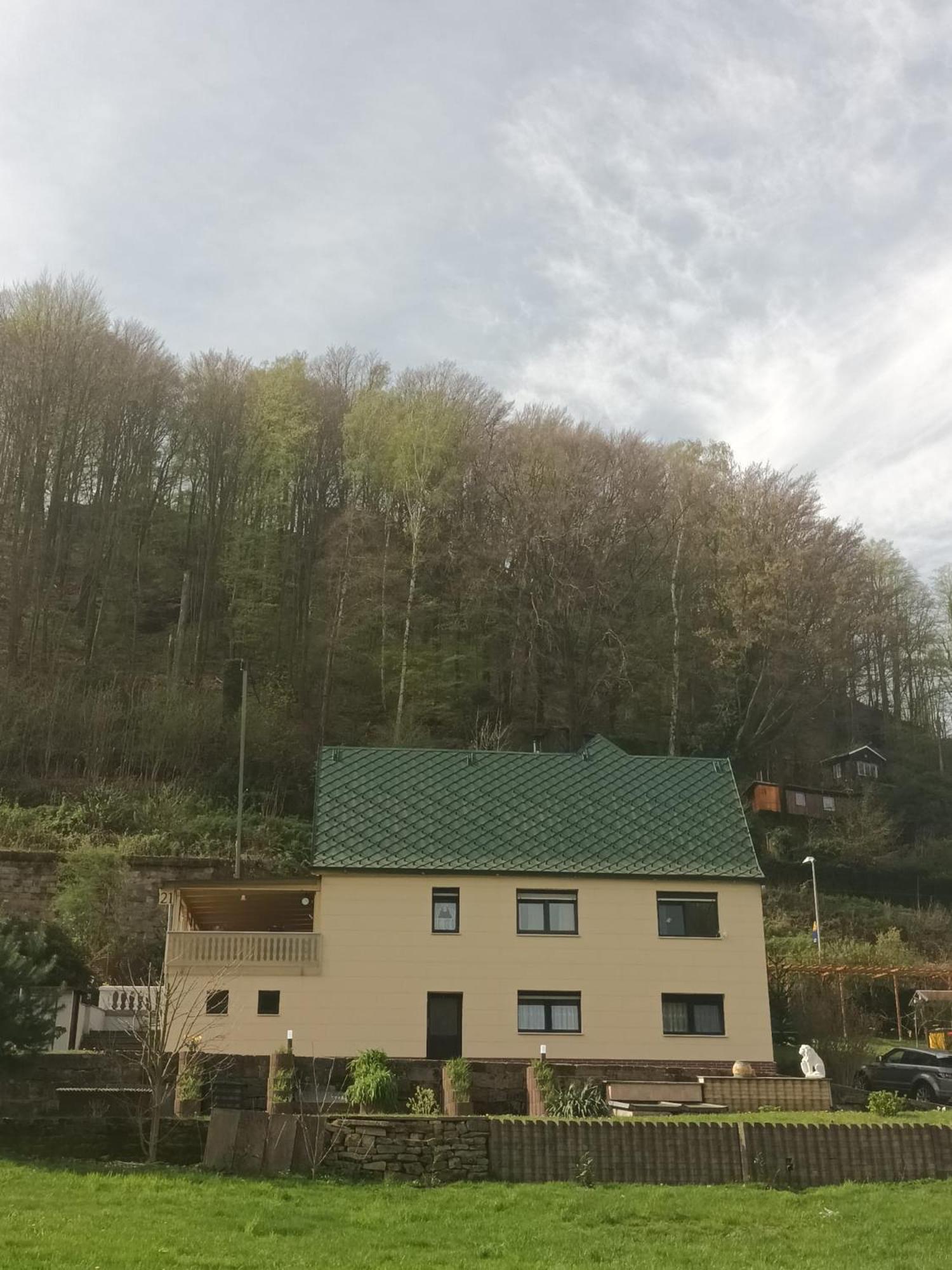 Ferienhaus am Elberadweg mit Sauna & Kamin - Natur, Erholung & S-Bahn-Anbindung - Saxon Oase