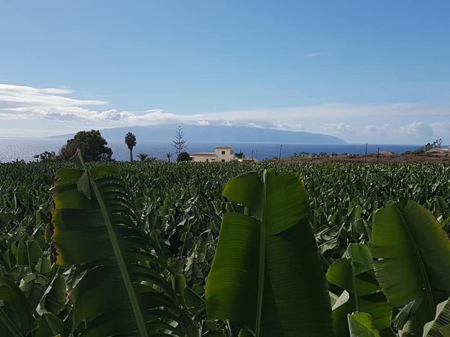 White Haven - Ocean View, airco, heated pool