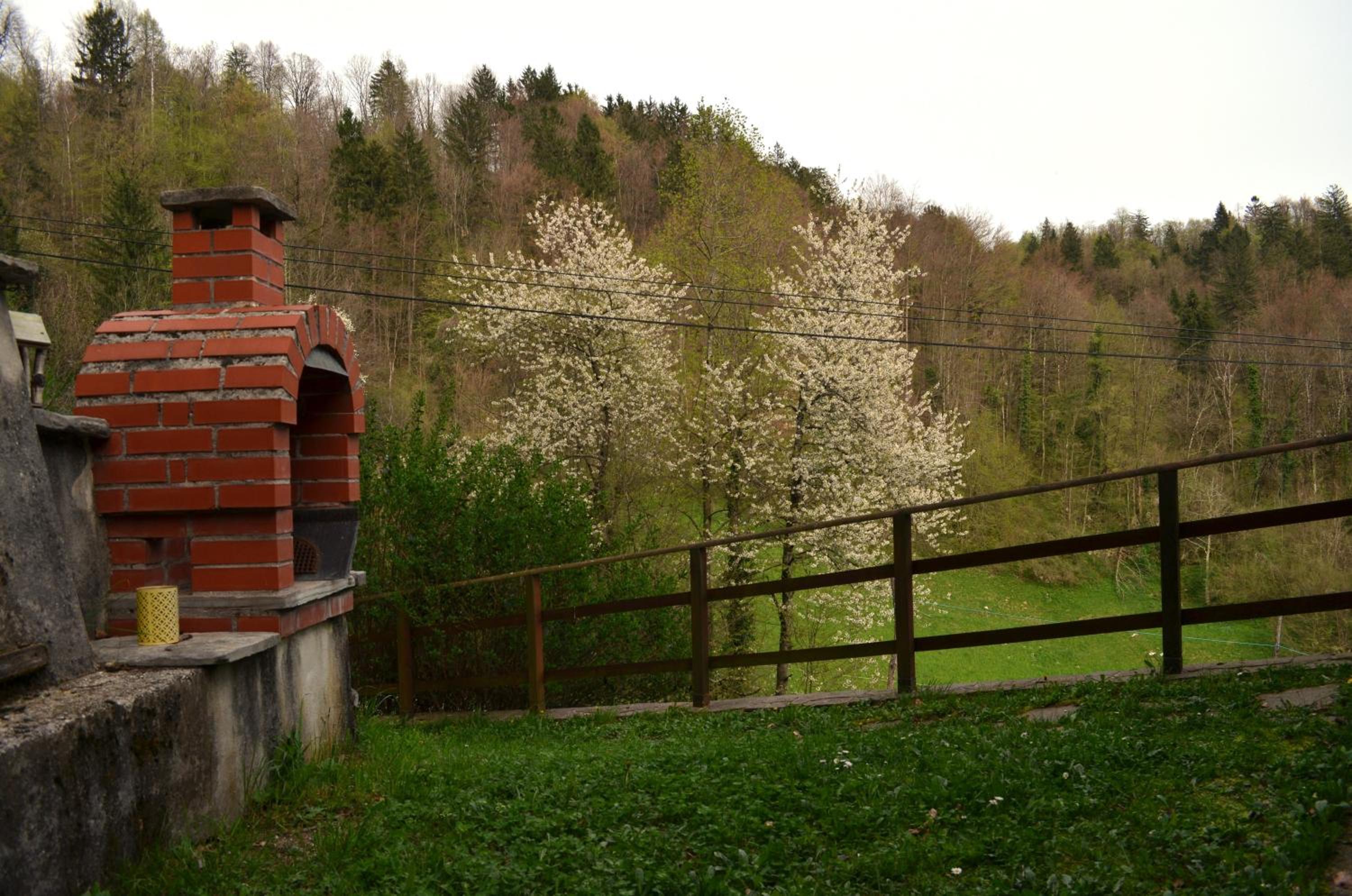 Photo 9