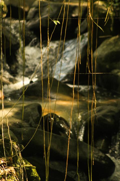 Recanto Águas do Quiriri