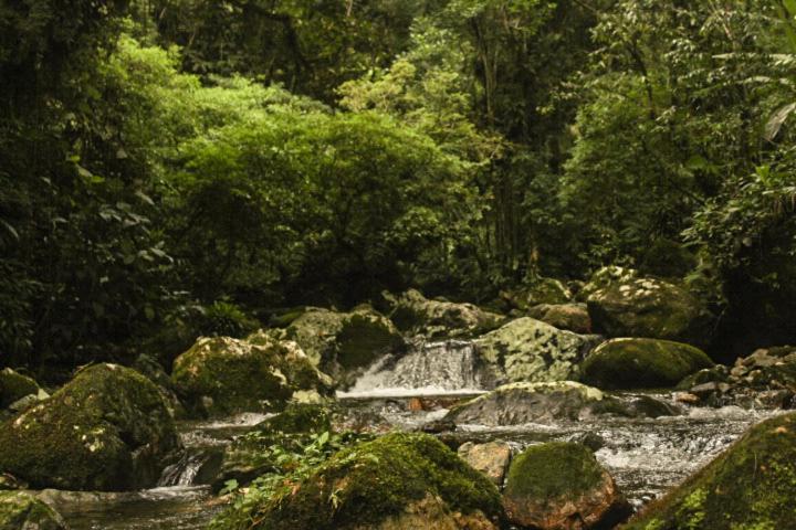 Recanto Águas do Quiriri