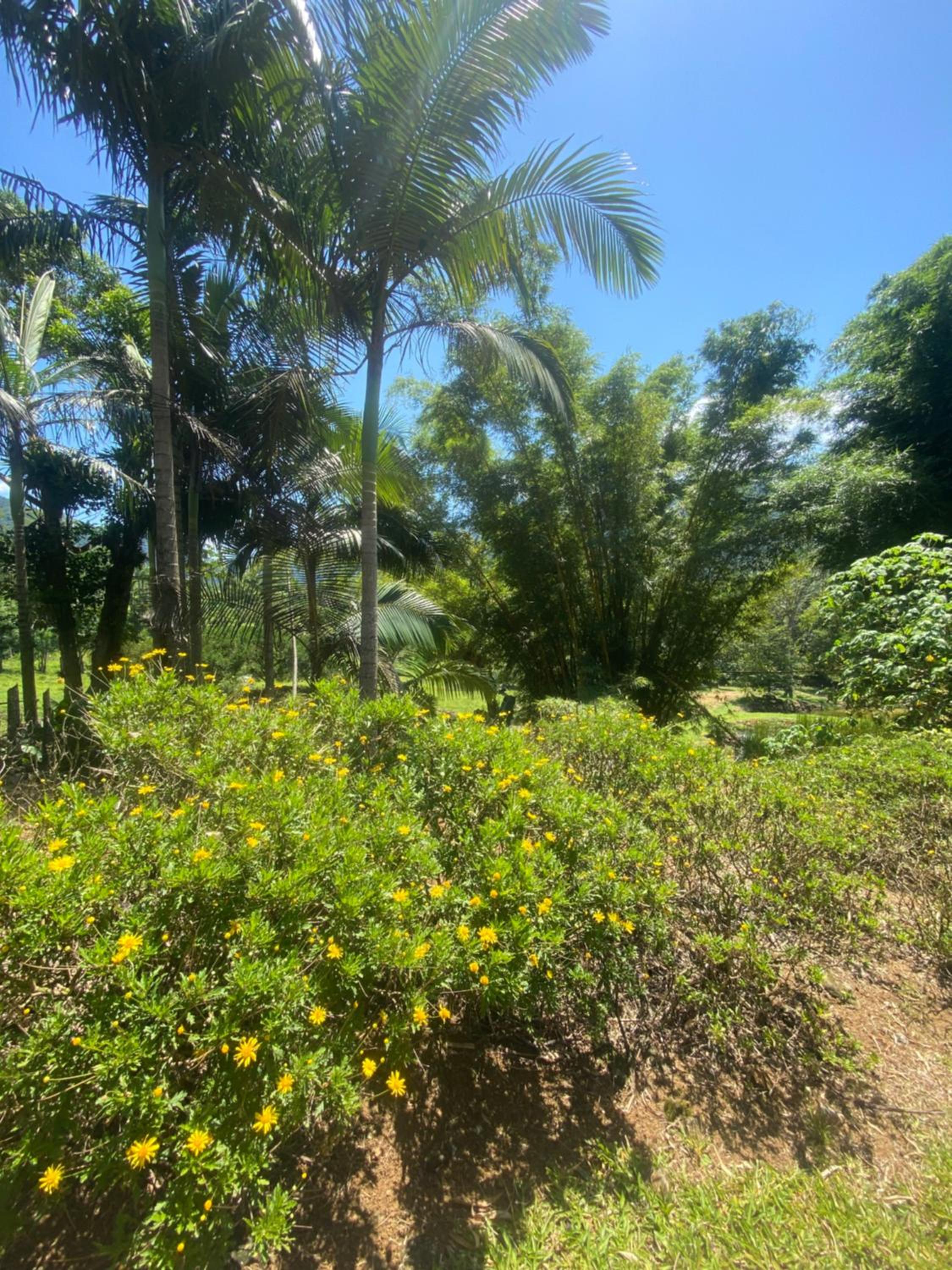 Recanto Águas do Quiriri