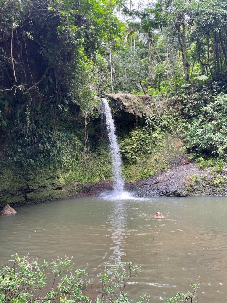 Cahuita suita