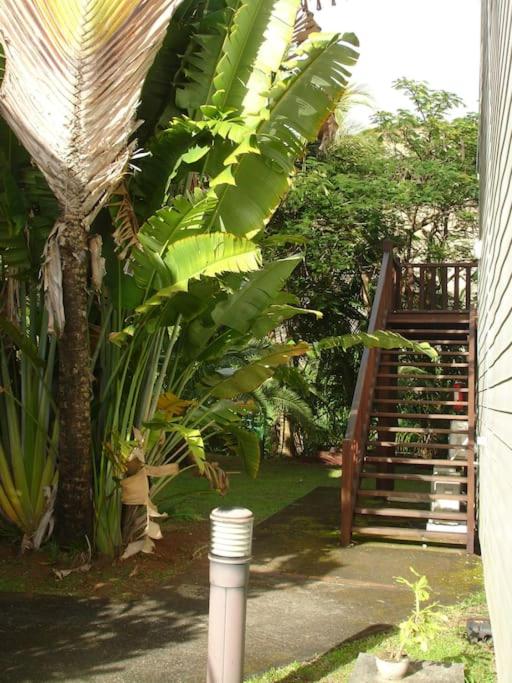 Papayer ! Le studio pour des vacances tropicales view 4