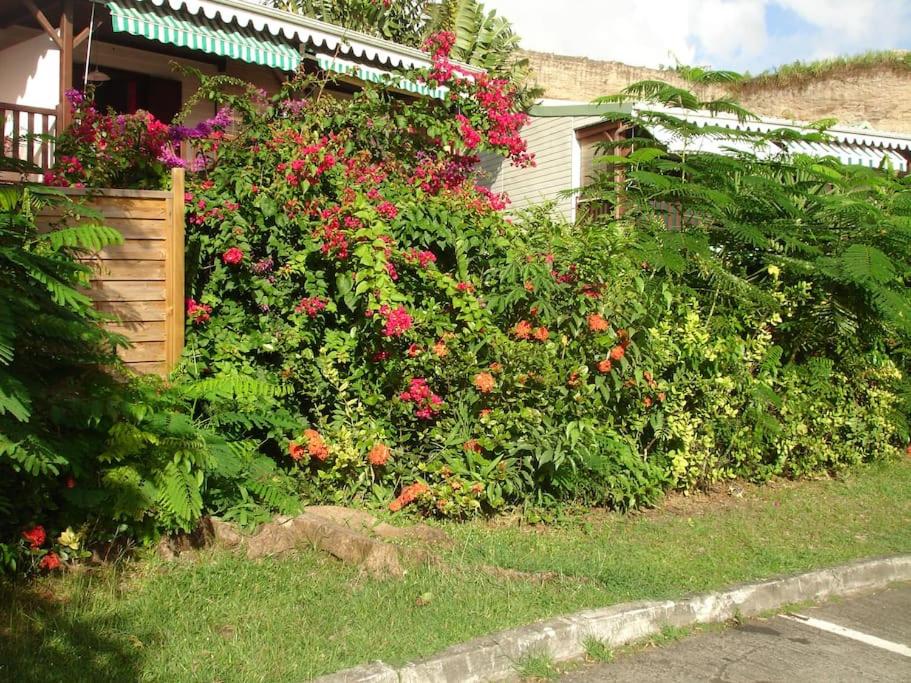 Papayer ! Le studio pour des vacances tropicales view 5
