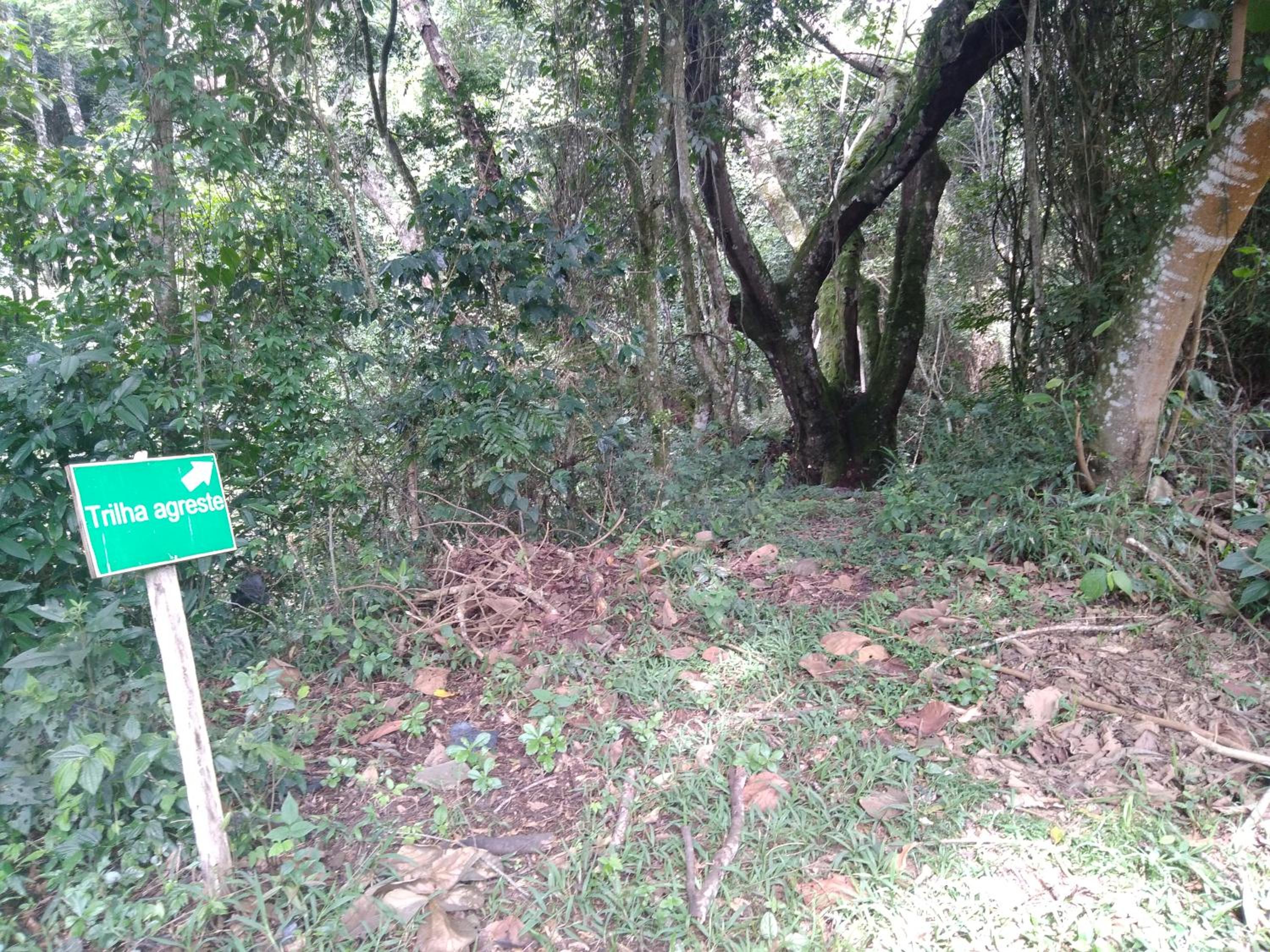 Joanopolis Inn - Mantiqueira 1