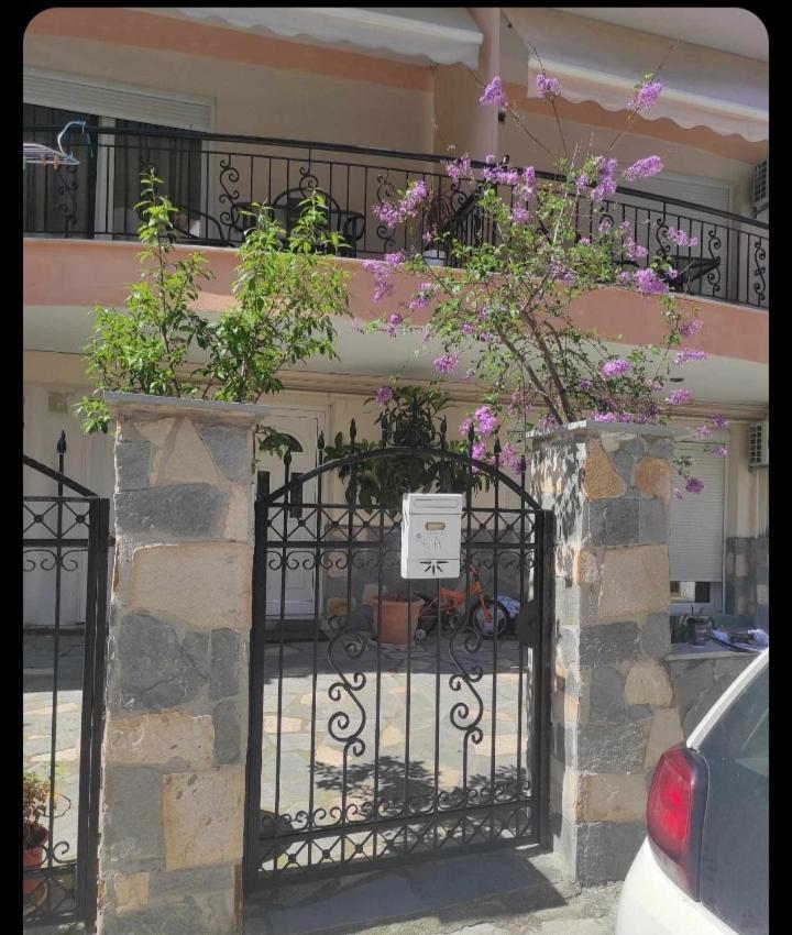 Butterfly Studio